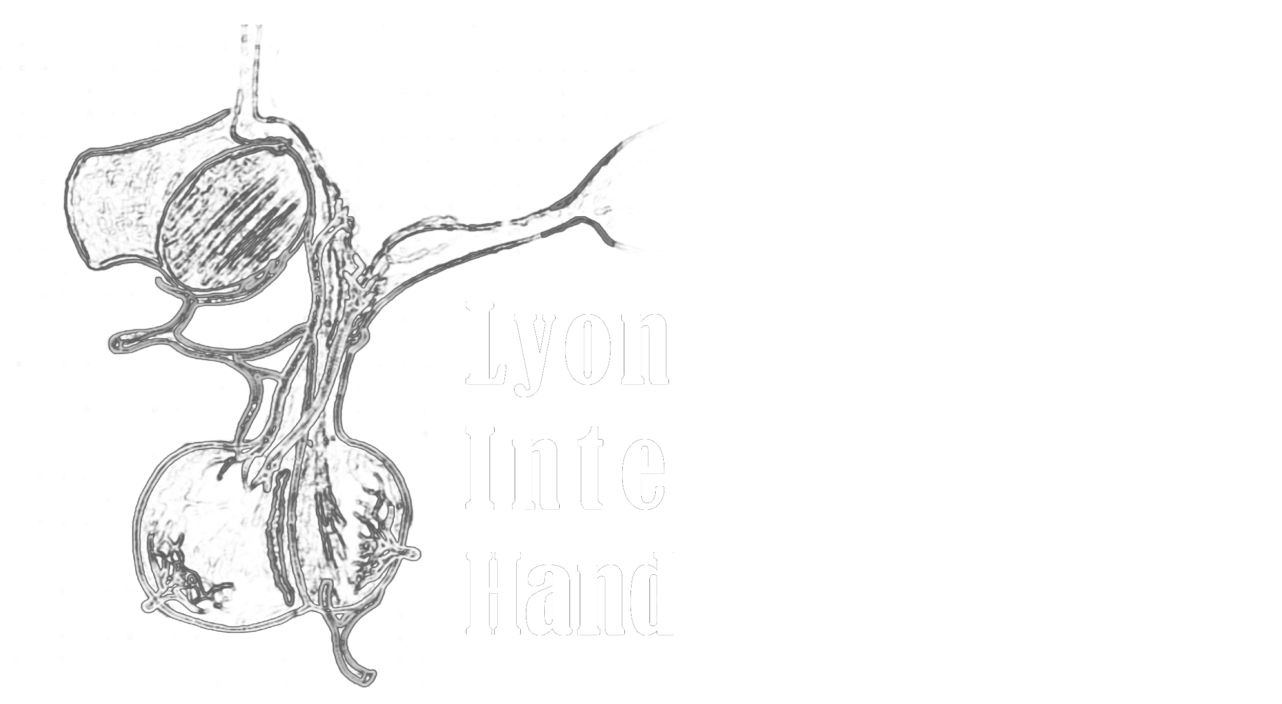 Lyon's Pituitary International Hand's on Course 2025